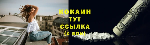 соль ск Дмитровск