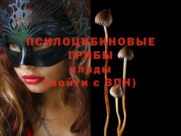марки nbome Дмитров