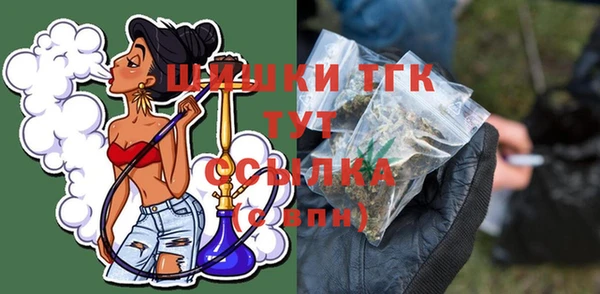 дурь Дмитриев