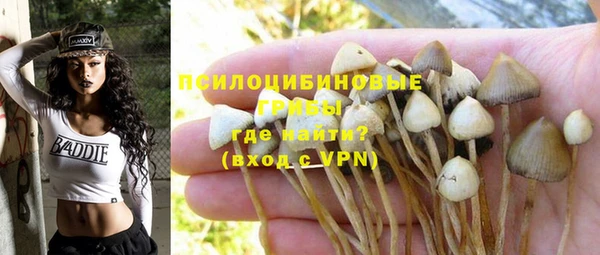 дурь Дмитриев